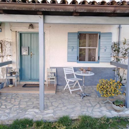 Apartment Ammonite Premantura Exterior photo